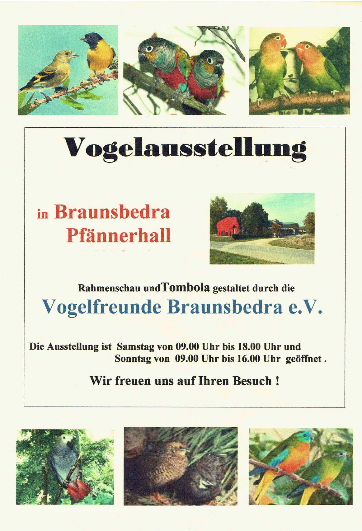Vogelaustellung2025